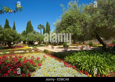 Gärten in der Alcazar de Jerez in Jerez De La Frontera, Andalusien, Spanien Stockfoto