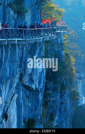 Guigu Cliff Path entlang der Felsen Gesicht, Tianmen-Nationalpark, Hunan-Provinz, China Stockfoto