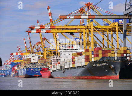 Containerschiffe und Portalkrane, Stromkaje Kai Wilhelm Kaisen-Terminal, Container Terminal Bremerhaven, Bremerhaven, Bremen Stockfoto