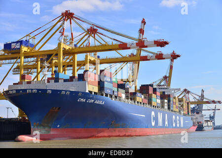 Containerschiff und Portalkrane, Stromkaje Kai Wilhelm Kaisen-Terminal, Container Terminal Bremerhaven, Bremerhaven, Bremen Stockfoto