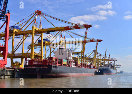 Containerschiff und Portalkrane, Stromkaje Kai Wilhelm Kaisen-Terminal, Container Terminal Bremerhaven, Bremerhaven, Bremen Stockfoto