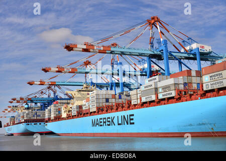 Containerschiff und Portalkrane, Stromkaje Kai Wilhelm Kaisen-Terminal, Container Terminal Bremerhaven, Bremerhaven, Bremen Stockfoto