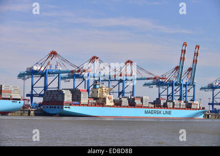 Containerschiff und Portalkrane, Stromkaje Kai Wilhelm Kaisen-Terminal, Container Terminal Bremerhaven, Bremerhaven, Bremen Stockfoto