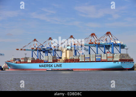 Containerschiff und Portalkrane, Stromkaje Kai Wilhelm Kaisen-Terminal, Container Terminal Bremerhaven, Bremerhaven, Bremen Stockfoto