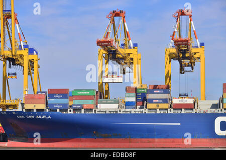 Containerschiff und Portalkrane, Stromkaje Kai Wilhelm Kaisen-Terminal, Container Terminal Bremerhaven, Bremerhaven, Bremen Stockfoto