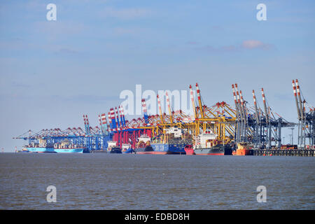 Containerschiff und Portalkrane, Stromkaje Kai Wilhelm Kaisen-Terminal, Container Terminal Bremerhaven, Bremerhaven, Bremen Stockfoto