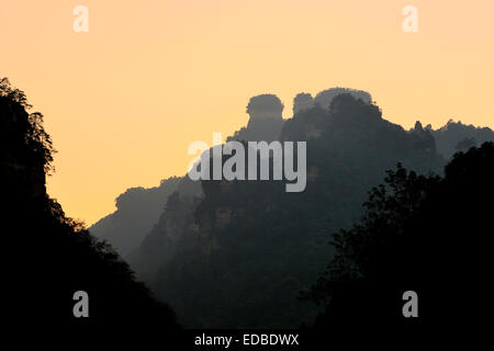 Sandsteinfelsen in Zhangjiajie National Forest Park, Provinz Hunan, China Stockfoto