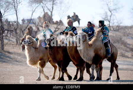 West Ujimqin-Banner, Chinas autonomen Region Innere Mongolei. 5. Januar 2015. Senn Reiten Kamele im Westen Ujimqin-Banner, Nord-China autonomen Region Innere Mongolei, 5. Januar 2015. Eine Kamele-Festival fand hier die Kamele Kultur am Montag zeigen. Bildnachweis: Ren Junchuan/Xinhua/Alamy Live-Nachrichten Stockfoto