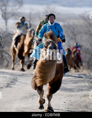 West Ujimqin-Banner, Chinas autonomen Region Innere Mongolei. 5. Januar 2015. Während der 10-Kilometer-Kamelrennen im Westen Ujimqin-Banner, Nord-China autonomen Region Innere Mongolei, 5. Januar 2015 konkurrieren Hirte. Eine Kamele-Festival fand hier die Kamele Kultur am Montag zeigen. Bildnachweis: Ren Junchuan/Xinhua/Alamy Live-Nachrichten Stockfoto