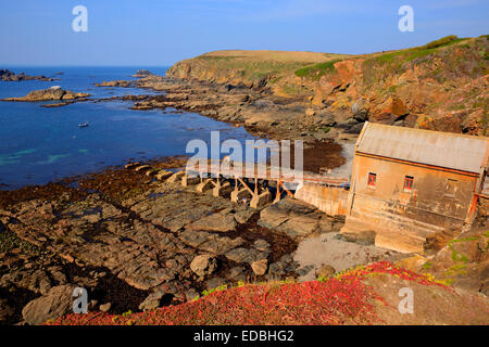 Lizard Point Cornwall UK South West England an einem sonnigen Sommertag Stockfoto