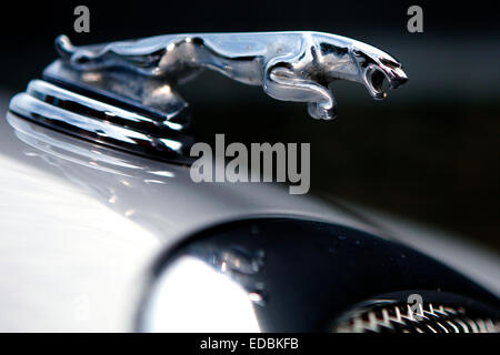 Im Bild: Jaguar Automobil Firma emblem Stockfoto