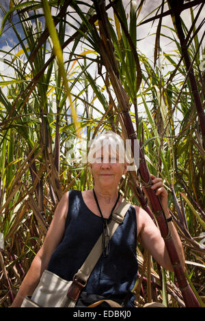 Mauritius, Britannia, Zuckerrohr Fabrik Dorf, ältere Frau Besucher unter Zuckerrohr-Ernte Stockfoto