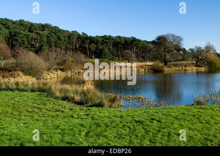 See Margam Park, Port Talbot, South Wales. Stockfoto