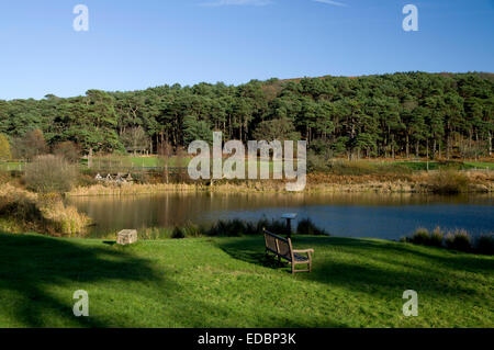 See Margam Park, Port Talbot, South Wales. Stockfoto