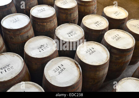 Fässer von Jura Malt Whisky Brennerei in Jura, Jura, Schottland Stockfoto