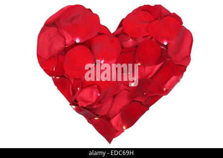 Herzen von Blüten der roten Rosen Liebe Thema am Valentinstag und Mütter Tag isoliert Stockfoto