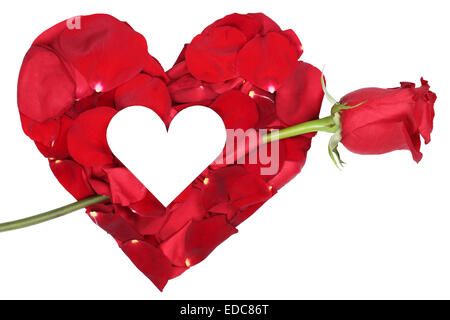 Herz aus Blütenblättern mit roter rose Liebe Thema am Valentinstag und Mütter Tag isoliert mit Exemplar Stockfoto