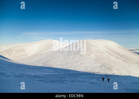 Beinn Lutharn Mhor schottischen Munro in der Nähe von Spittal of Glenshee Schottland Stockfoto