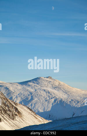 Carn Bhinnein schottischen Hügel in der Nähe von Spittal of Glenshee Schottland. Stockfoto