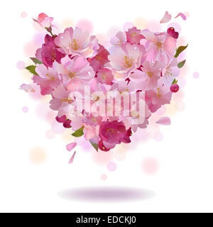 Kirsche Blütenblatt Herz isoliert auf dem weißen Stockfoto