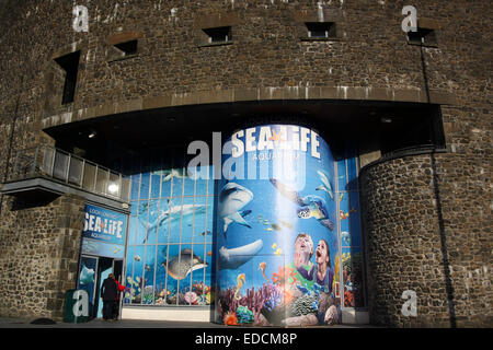 Sea Life Besucherzentrum Lomond Shores Balloch Stockfoto