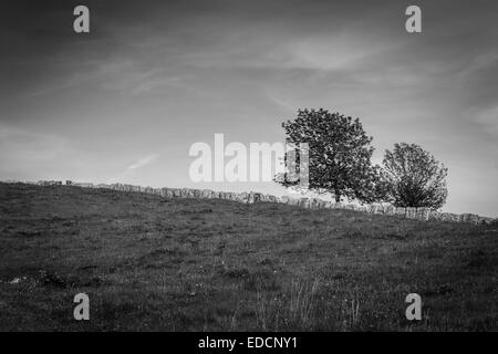 Conca dei Parpari - Verona - Italien Stockfoto