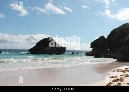 Horseshoe Bay, Strand - Bermuda Stockfoto