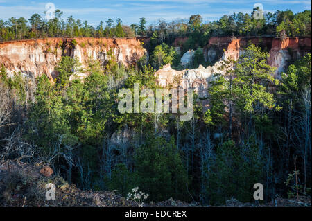 Sonnenaufgang von der Felge bei Providence Canyon, Georgia "Little Grand Canyon" im Lumpkin, Georgia, USA. Stockfoto