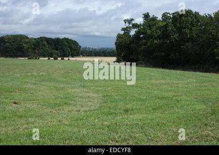 magische Aussicht vom großen Park von Windsor Castle In Entfernung &amp; Umgebung zeigt landschaftlich "Fahrten" Stockfoto