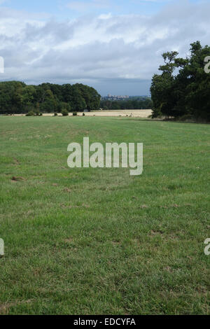 magische Aussicht vom großen Park von Windsor Castle In Entfernung &amp; Umgebung zeigt landschaftlich "Fahrten" Stockfoto