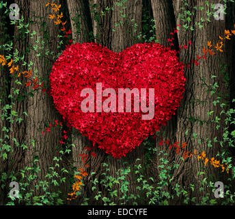 Valentinstag rote Blatt Weinbau in einem natürlichen Wald von großen Bäumen geformt in Form eines Herzens als glückliche Feier Symbol für Stockfoto