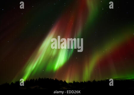 Die spektakulären Nordlichter, Aurora Borealis in der Nähe von Reykjavik, Island Stockfoto