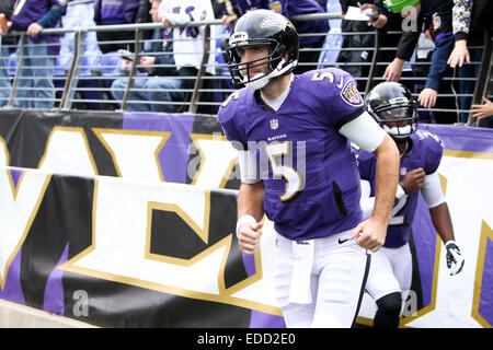 Baltimore, Maryland, USA. 28. Dezember 2014. Baltimore Ravens Quarterback Joe Flacco (5) tritt das Feld vor dem Spiel gegen die Cleveland Browns am 28. Dezember 2014 M & T Bank Stadium. © Debby Wong/ZUMA Draht/Alamy Live-Nachrichten Stockfoto