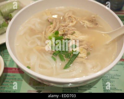 Vietnamesische Nudeln und Hühnchen Stockfoto