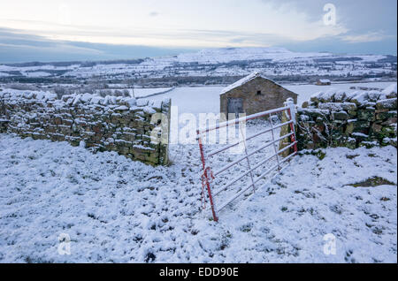 Wensleydale im Schnee Stockfoto