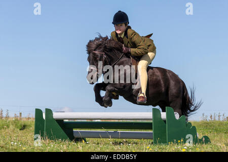 Shetland-Pony Little Mädchen schwarze Hengst springen über die Hürde Burra Shetlands Stockfoto