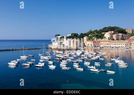 Hafen Sie in der Bucht Baia del Silenzio, Grand Hotel dei Castelli auf der Rückseite, Sestri Levante, Provinz von Genua, Riviera di Levante Stockfoto