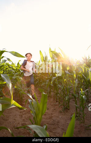 Junge läuft durch Maisfeld bei Gegenlicht Stockfoto