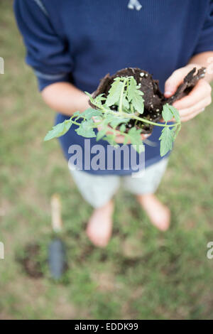 Ein Junge steht in einem Garten, halten eine Pflanze. Stockfoto