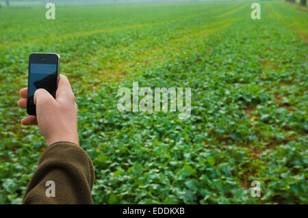 Hand, die ein Handy, ein Bild von einem Feld. Stockfoto