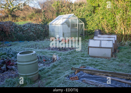 Frost bedeckt Gewächshaus und Garten im Winter auch Frühbeete und Kunststoffabdeckung Boden aus überschüssigen Regen Stockfoto