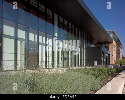 Universität von Westminster - Egge Campus - im Bau, Harrow, Großbritannien. Architekt: Architekten Hawkins Brown LLP Stockfoto