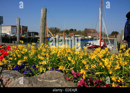 Hafen von Wyk auf Föhr. Wyk auf Föhr ist eine Stadt auf Föhr Insel in den Bezirk von Nordfriesland, in Schleswig-Holstein. Foto: Klaus Nowottnick Datum: 20. April 2014 Stockfoto