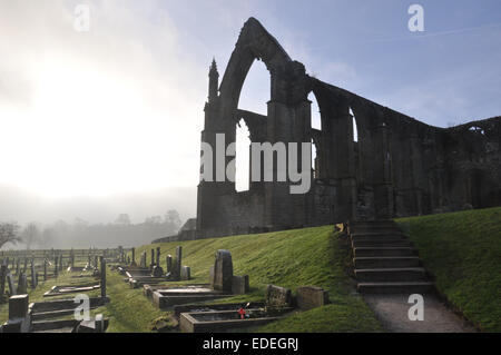 Bolton Abbey, Wharfedale, North Yorkshire Stockfoto