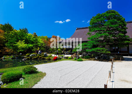 Japanische Bonsai-Bäume in einem Garten an einem sonnigen Tag. Stockfoto