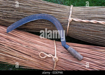 Weide wächst und schneiden auf den Somerset Levels, mit Produkten wie Körbe, Holzkohle und Särge. Stockfoto