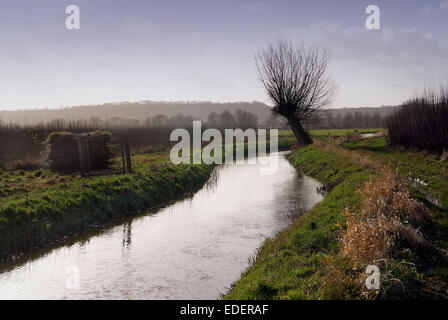 Weide wächst und schneiden auf den Somerset Levels, mit Produkten wie Körbe, Holzkohle und Särge. Stockfoto