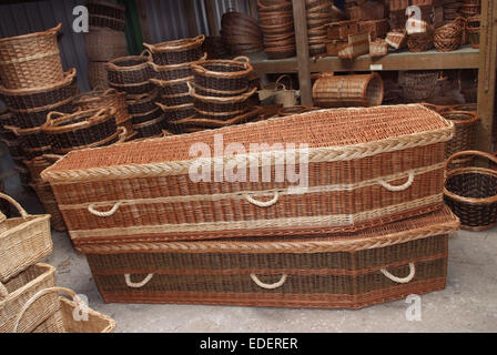 Weide wächst und schneiden auf den Somerset Levels, mit Produkten wie Körbe, Holzkohle und Särge. Stockfoto