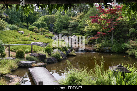 Taizo-in Zen-Tempel, Myoshin-Ji, Kyoto, Japan. Der moderne Teich Garten 1963 Stockfoto