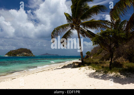 Ruhiger Strand von Petit Bateau, mit Palmen und Meerblick auf Jamesby und fernen Grenadine Inseln. Tobago Cays. Stockfoto